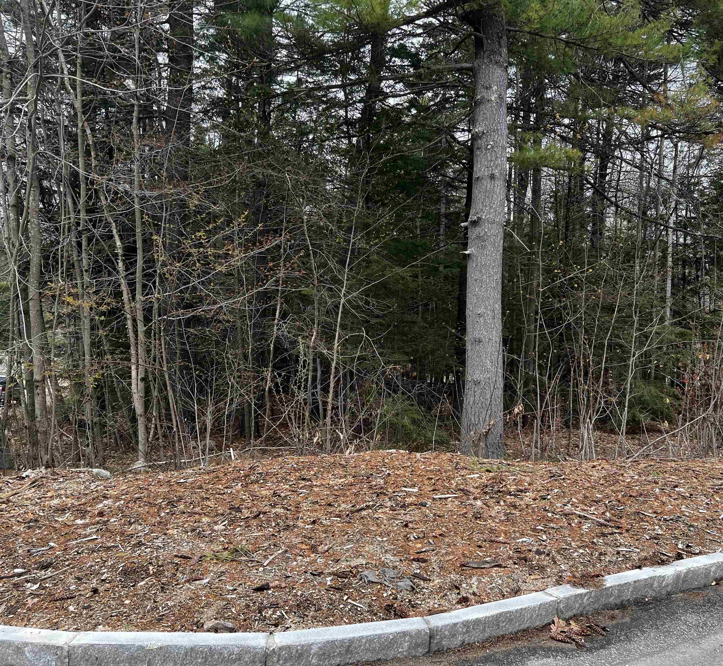 0 Brenner Drive Conway, NH 03818 - Photo 1 of 3