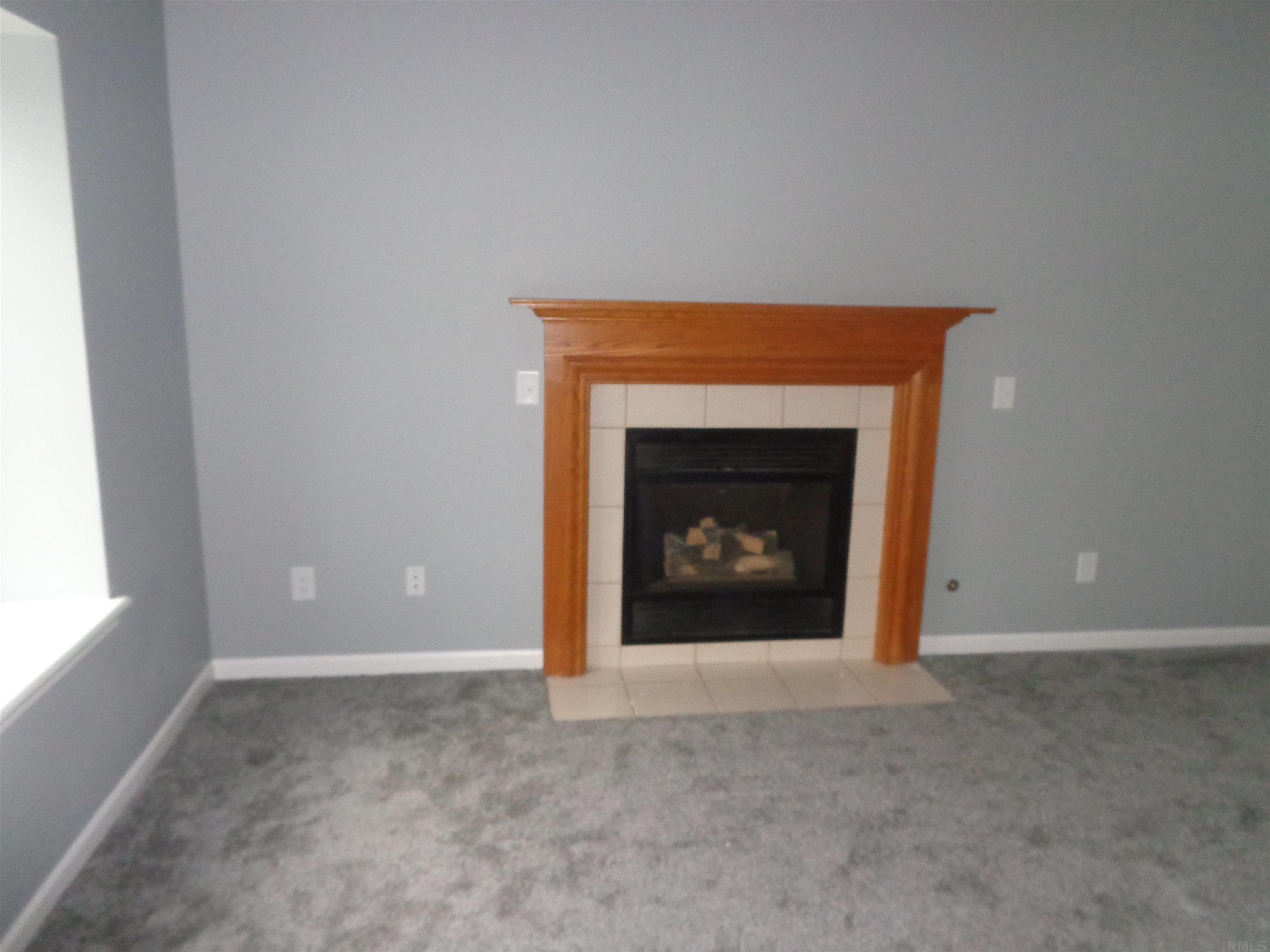 3103 Cedar Ridge Run Fort Wayne, IN 46808 - Photo 3 of 22