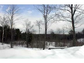 315 N Road Deering, NH 03244 - Photo 3 of 3 Gallery Image 3