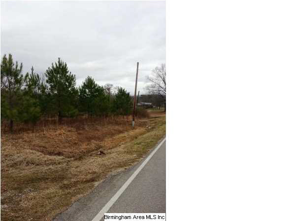 Mineral Springs Road Pell City, AL 35125 - Photo 1 of 1