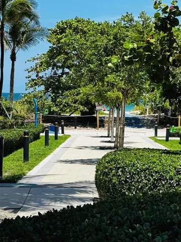 a view of backyard with hardwood