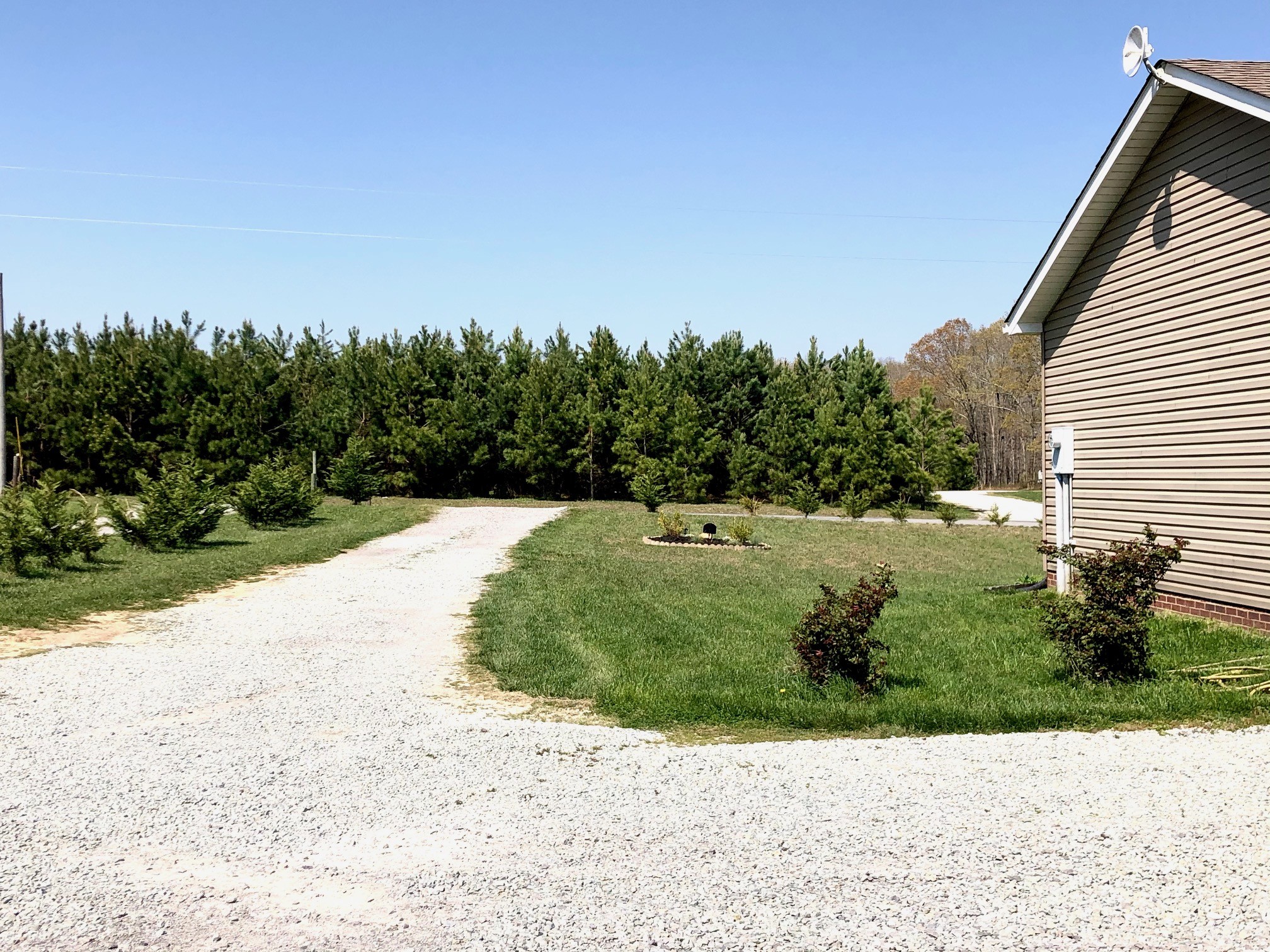 219 Freedom Road Mount Pleasant, TN 38474 - Photo 18 of 46 Gallery Image 18