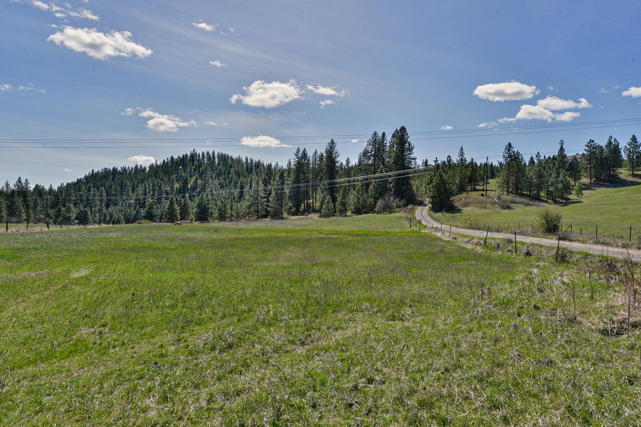 84-xx West Jensen Road Cheney, WA 99004 - Photo 3 of 11