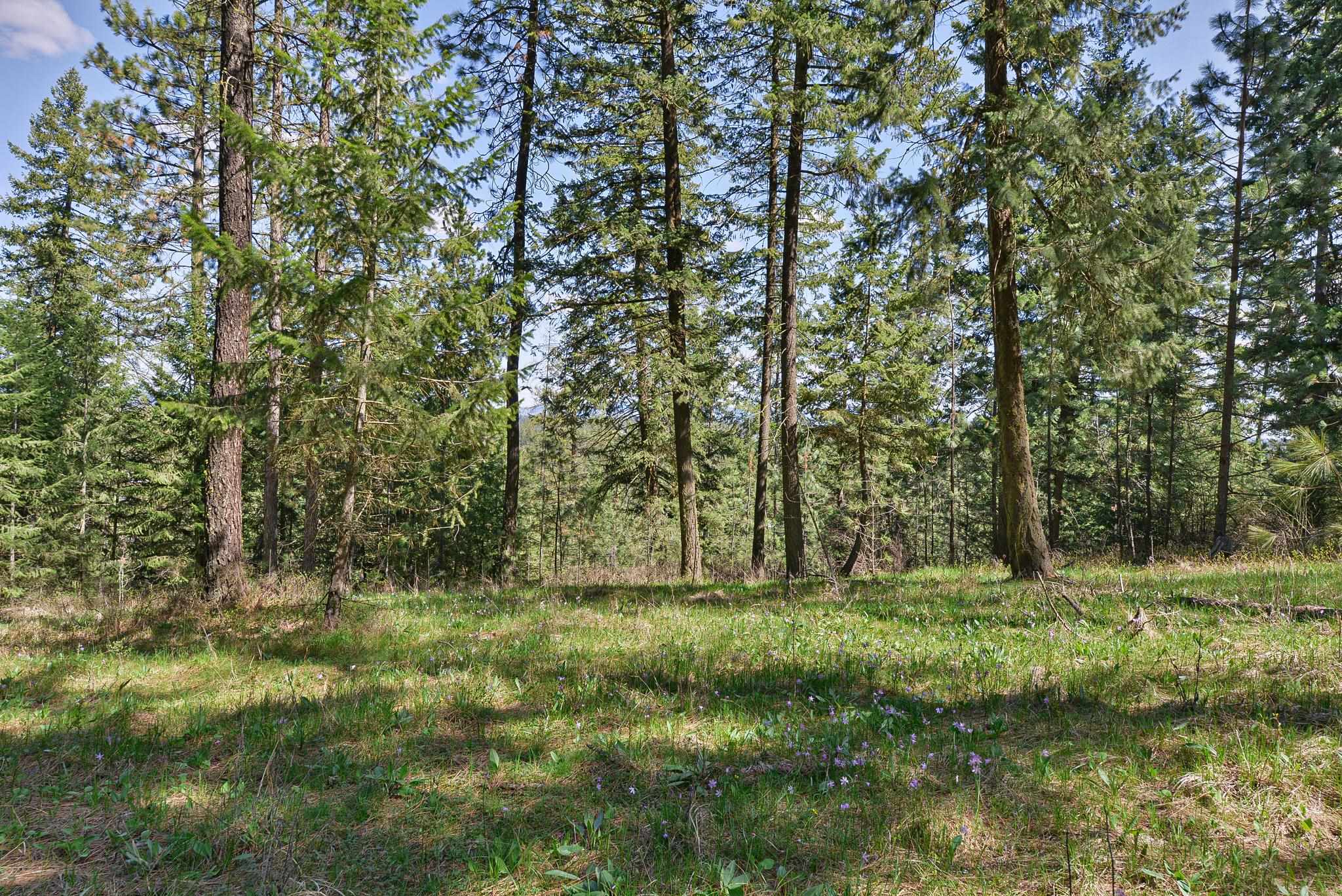 84-xx West Jensen Road Cheney, WA 99004 - Photo 4 of 11