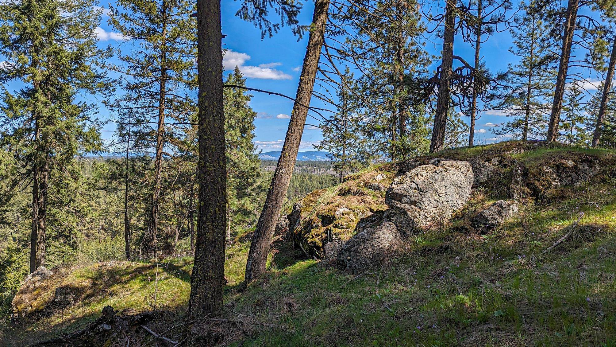 84-xx West Jensen Road Cheney, WA 99004 - Photo 6 of 11