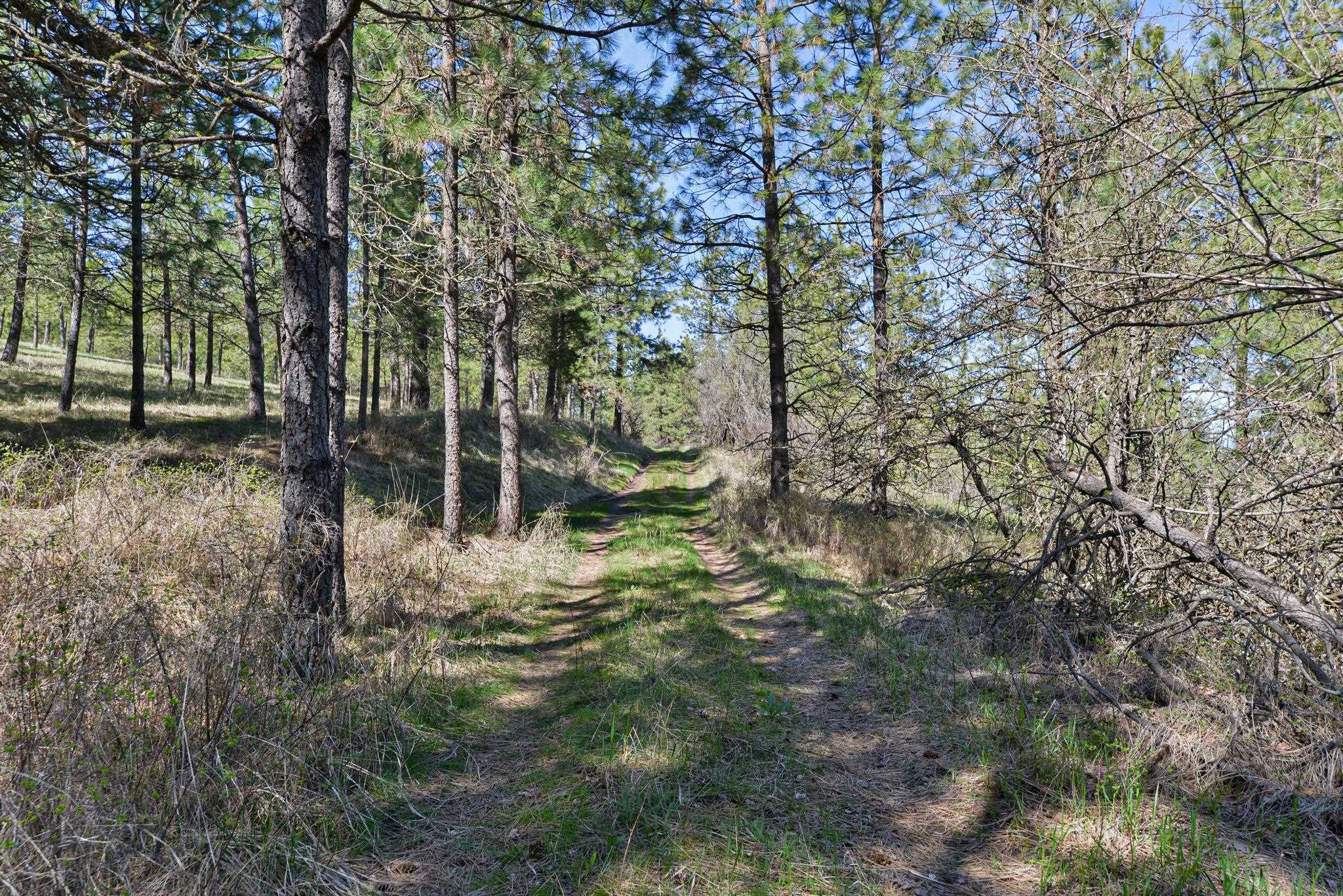 84-xx West Jensen Road Cheney, WA 99004 - Photo 7 of 11