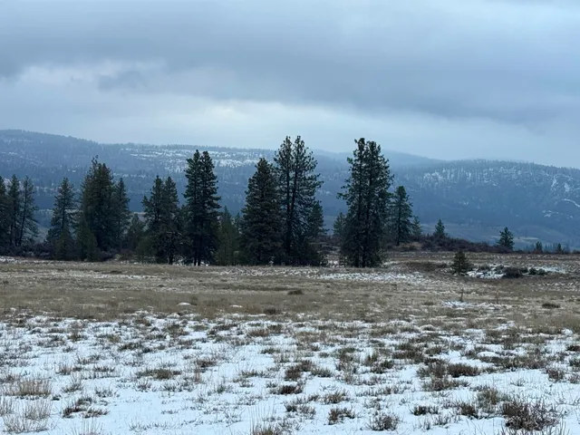 $199,000 | 31705 Hume Road, Davenport, WA 99122