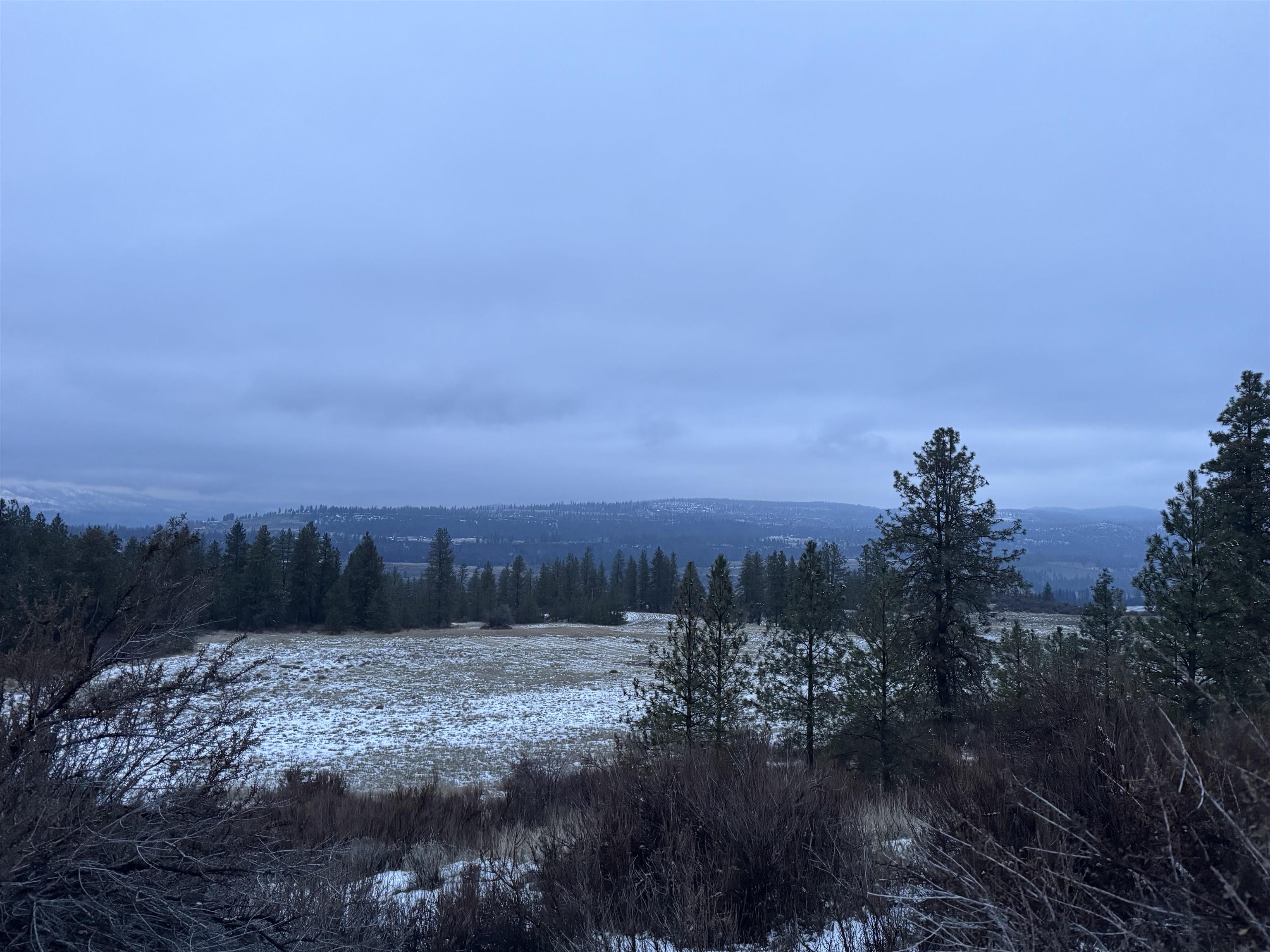 31705 Hume Road Davenport, WA 99122 - Photo 13 of 15