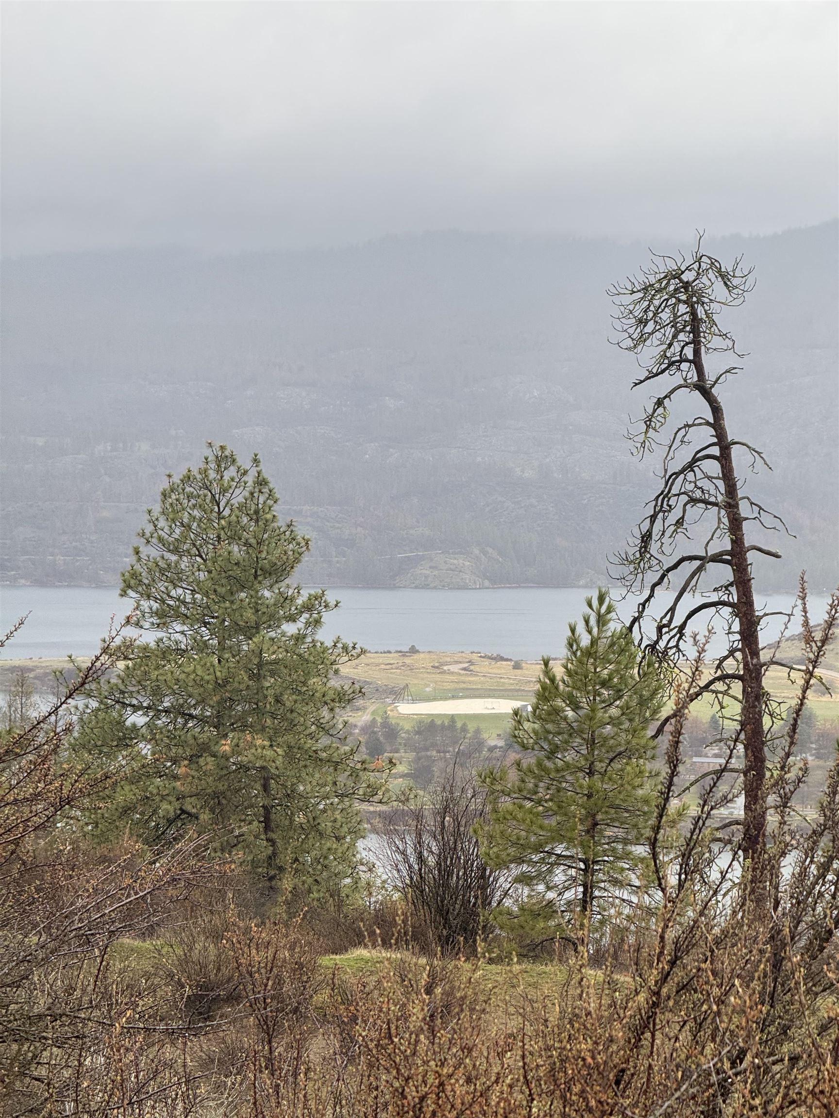 31705 Hume Road Davenport, WA 99122 - Photo 6 of 15