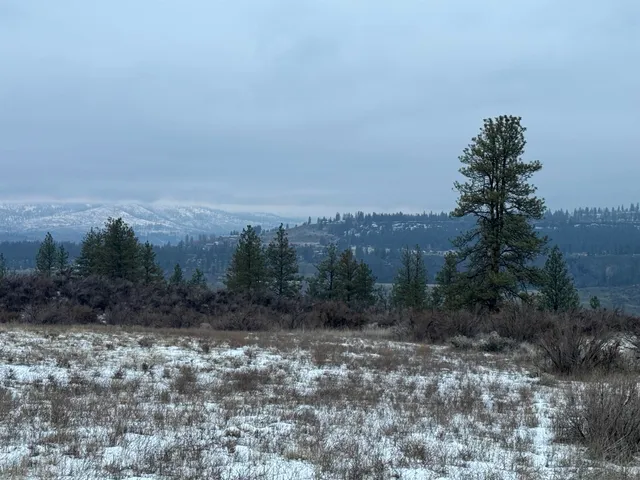 $199,000 | 31705 Hume Road, Davenport, WA 99122