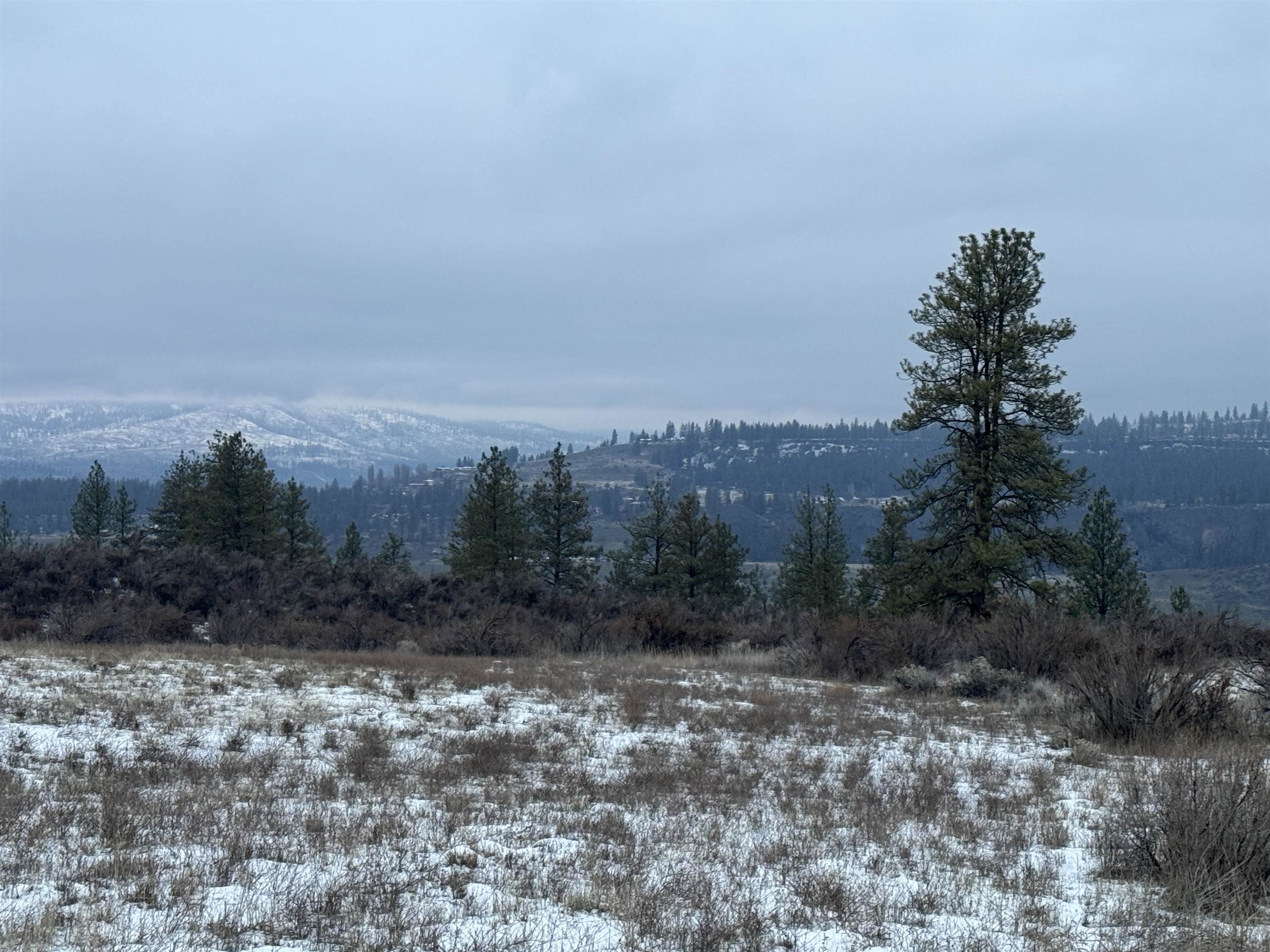 31705 Hume Road Davenport, WA 99122 - Photo 9 of 15