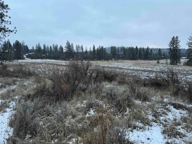 $199,000 | 31705 Hume Road, Davenport, WA 99122