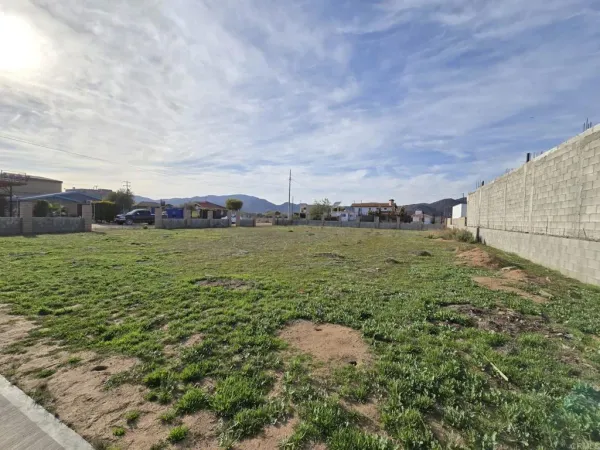 a view of a field with an ocean