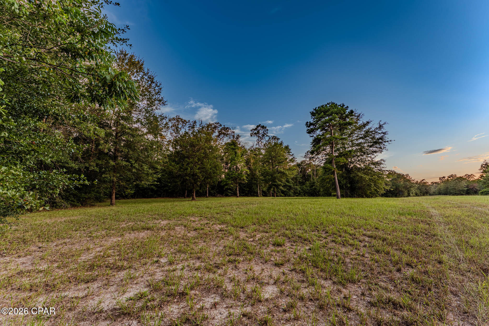 90 Highway 90 Grand Ridge, FL 32442 - Photo 18 of 40
