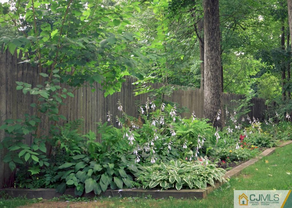 62 Harding Avenue Edison, NJ 08820 - Photo 22 of 24 a backyard of a house with lots of green space