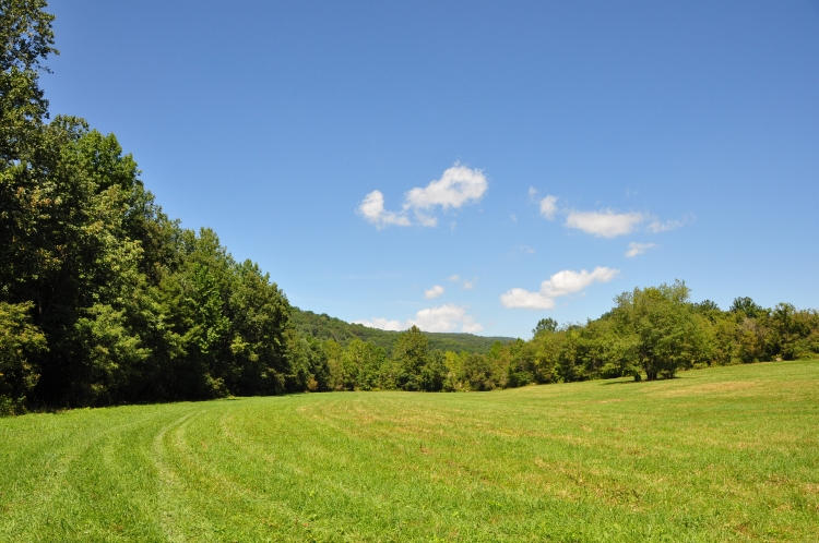 1087 Snowflake Road Ronceverte, WV 24970 - Photo 48 of 50 Gallery Image 48