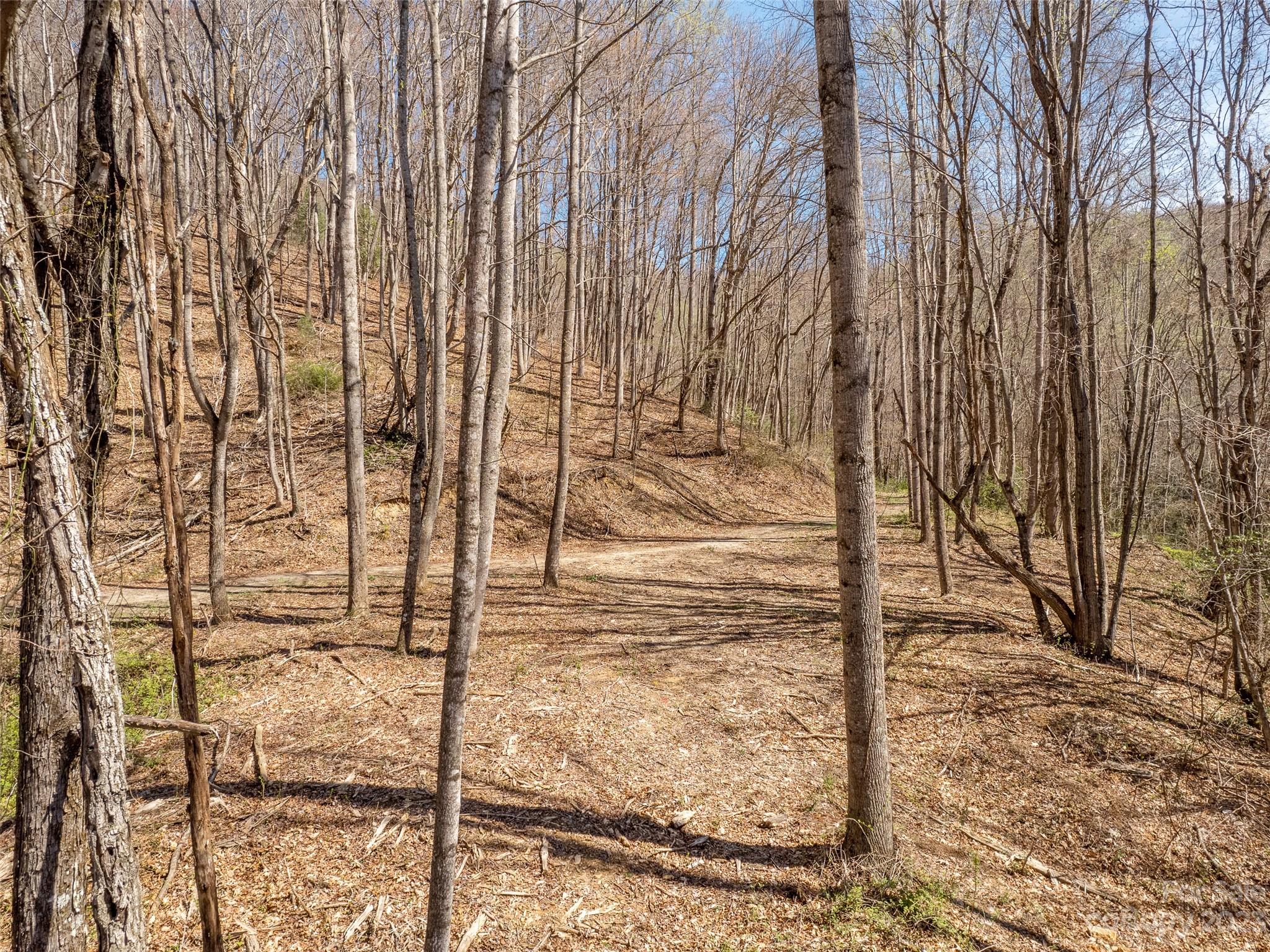 9999-6 Merrills Ridge Road, Unit 6 Asheville, NC 28803 - Photo 8 of 13 Gallery Image 8