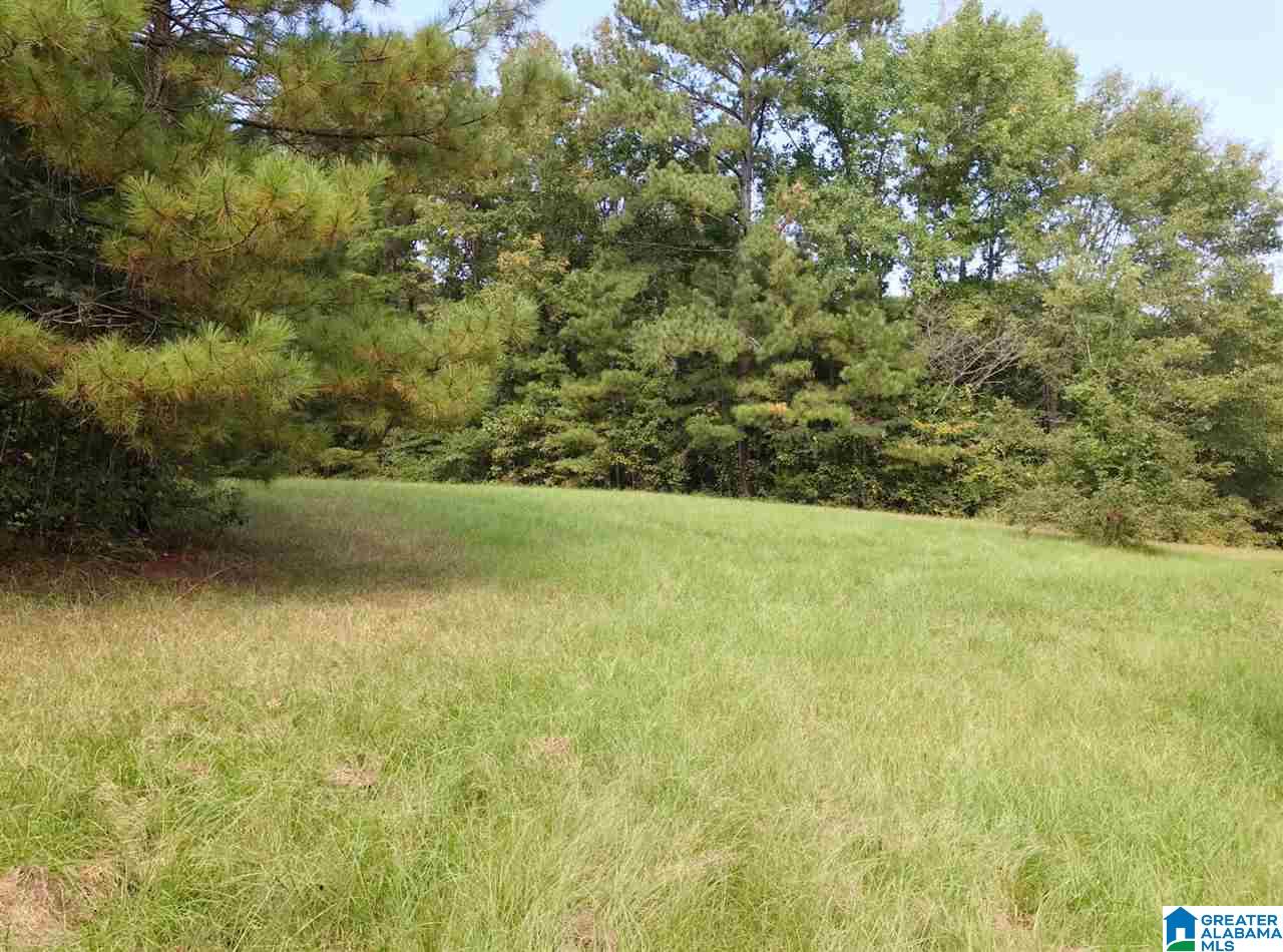 1525 Chelsea Road, Unit 1525 Columbiana, AL 35051 - Photo 10 of 33