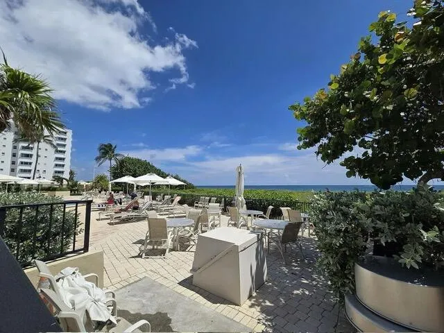a view of a patio with furniture and a potted plants