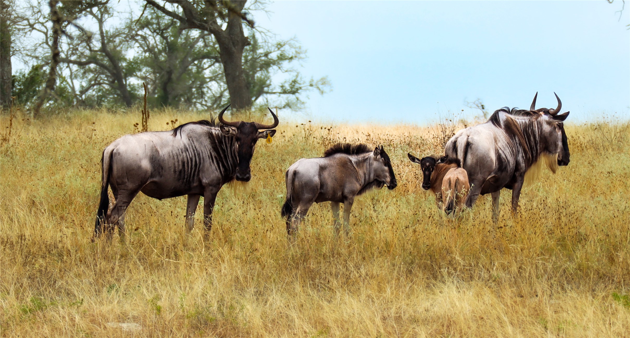 170 Goose Landing, Unit 10 57ACRES Harper, TX 78631 - Photo 2 of 40 a view of interior of the house and lake view