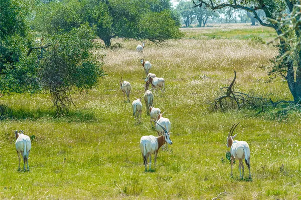 a bathroom with a swimming pool
