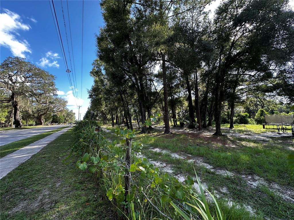 418 North Pine Street Bronson, FL 32621 - Photo 60 of 61 Gallery Image 60