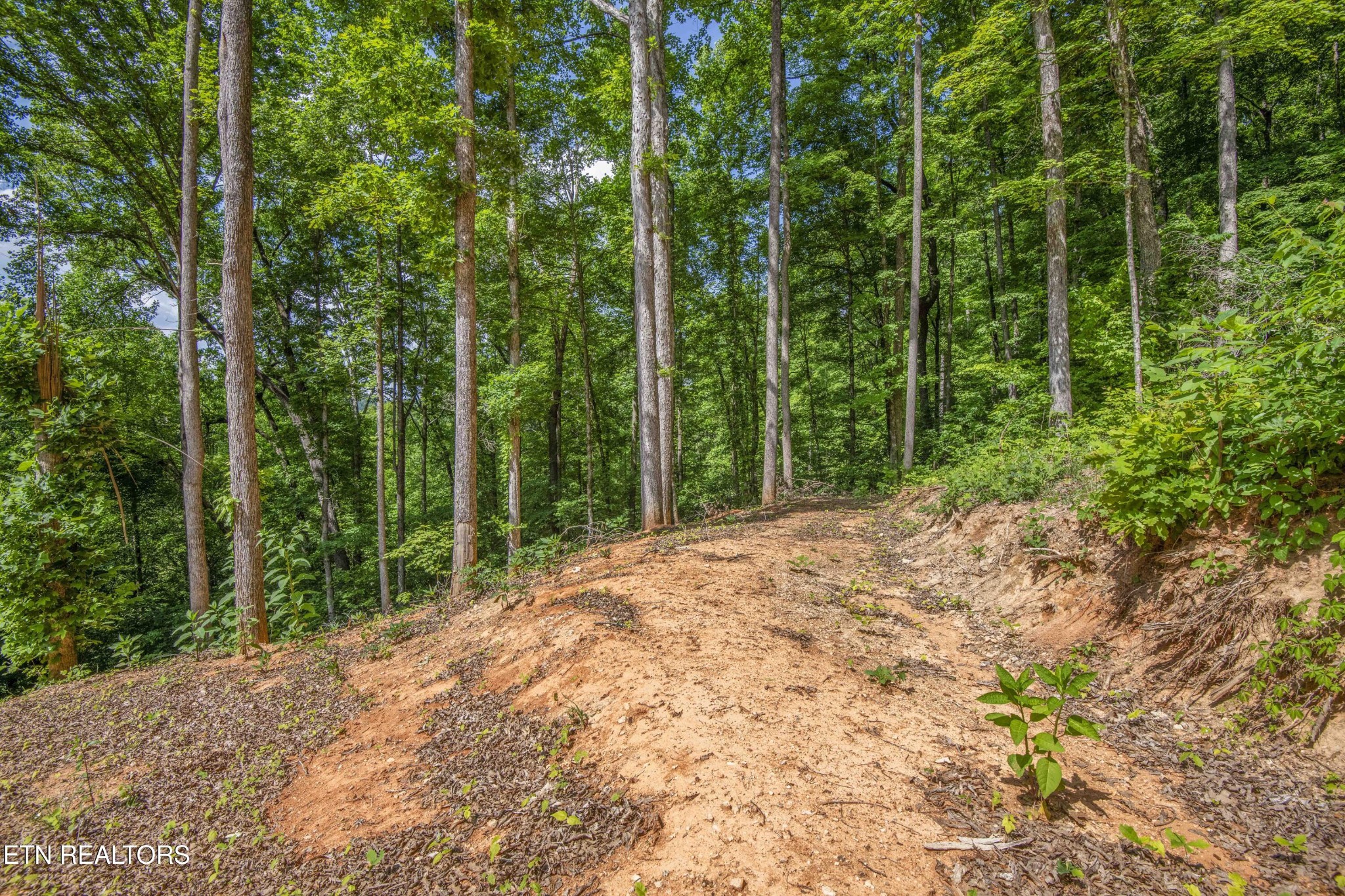 237 Johnson Valley Road Philadelphia, TN 37846 - Photo 30 of 35