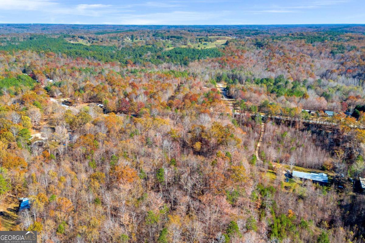 Lot 12 North Hicks Road Toccoa, GA 30577 - Photo 10 of 25