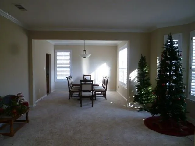 a view of a livingroom with furniture and a potted plant