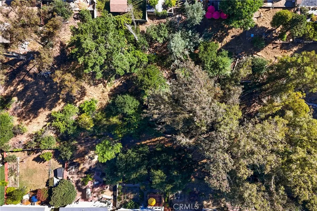 1 Nina Hayward, CA 94541 - Photo 9 of 13 a picture of tree