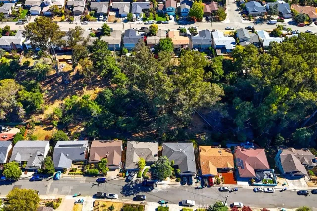 a view of a garden with flowers