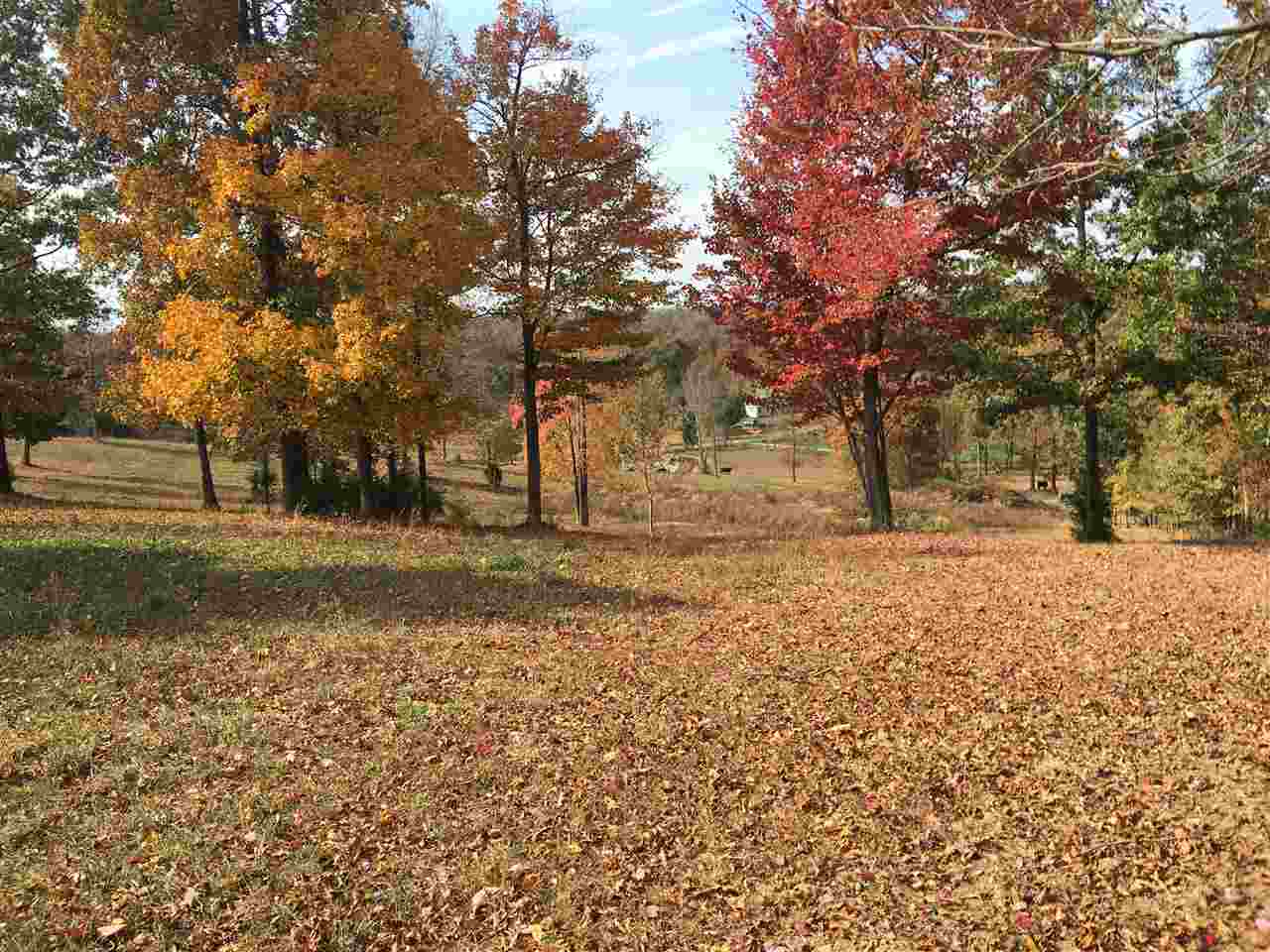 0 Neafus Road Morgantown, KY 42261 - Photo 3 of 6 Gallery Image 3