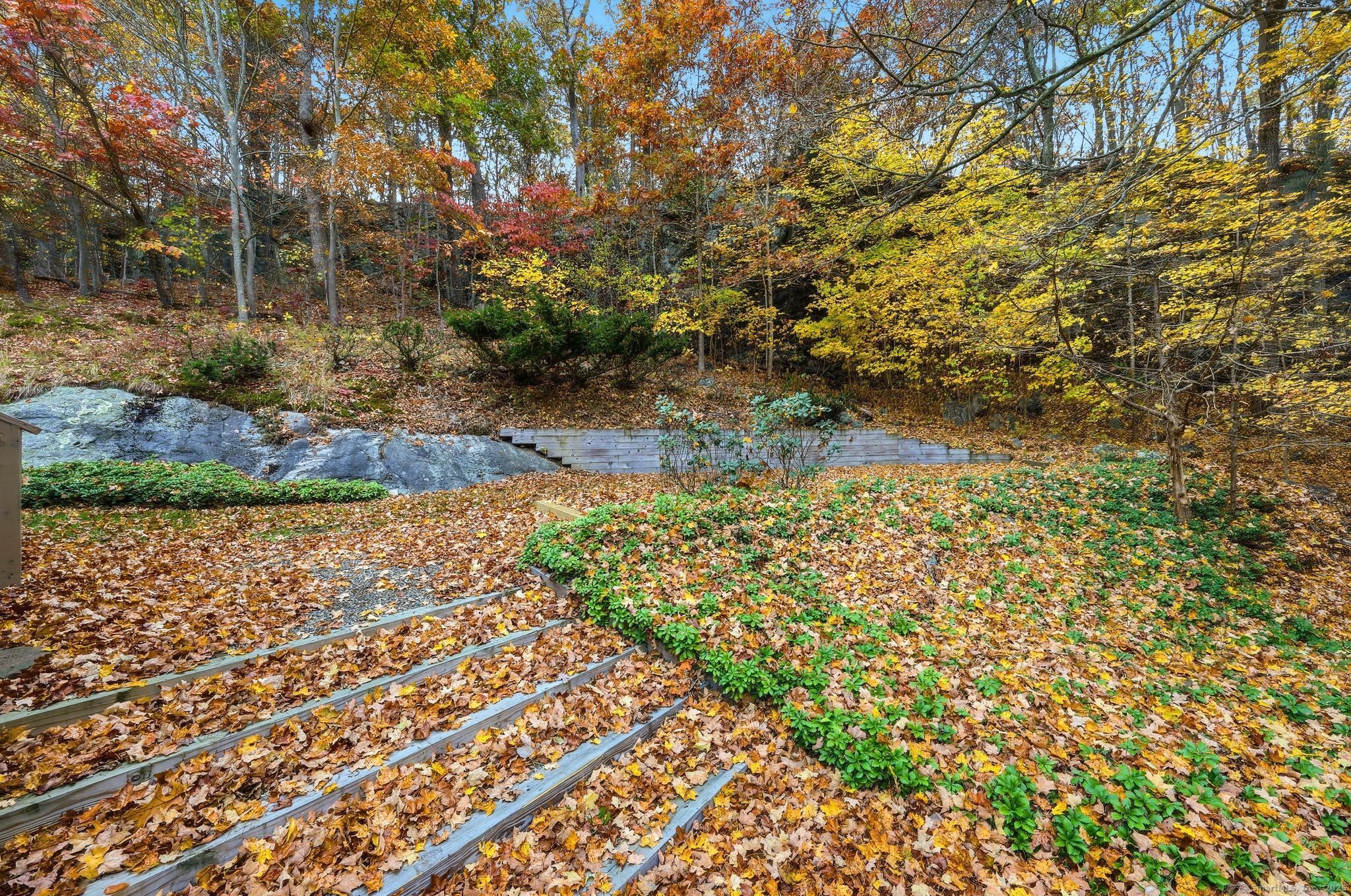 102 Lucas Park Road Norwich, CT 06360 - Photo 26 of 37 a view of a yard with plants and large trees