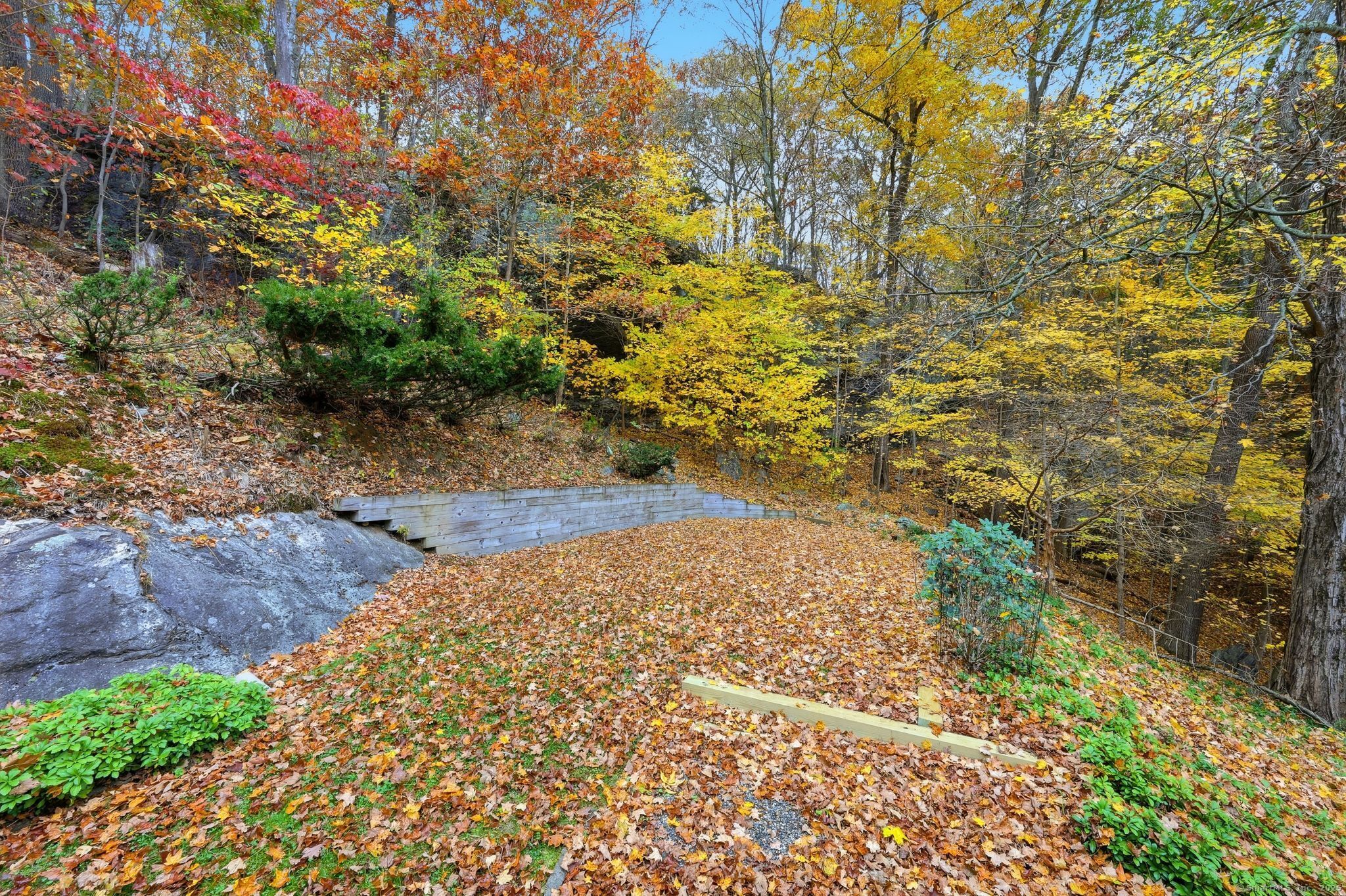 102 Lucas Park Road Norwich, CT 06360 - Photo 28 of 37 a view of a yard with plants and trees