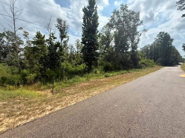 Tbd Martin Road Mount Hermon, LA 70450 - Photo 11 of 18 Gallery Image 11