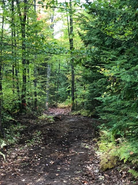 44b Christian Hill Road Lovell, ME 04051 - Photo 2 of 3 shep land driveway1
