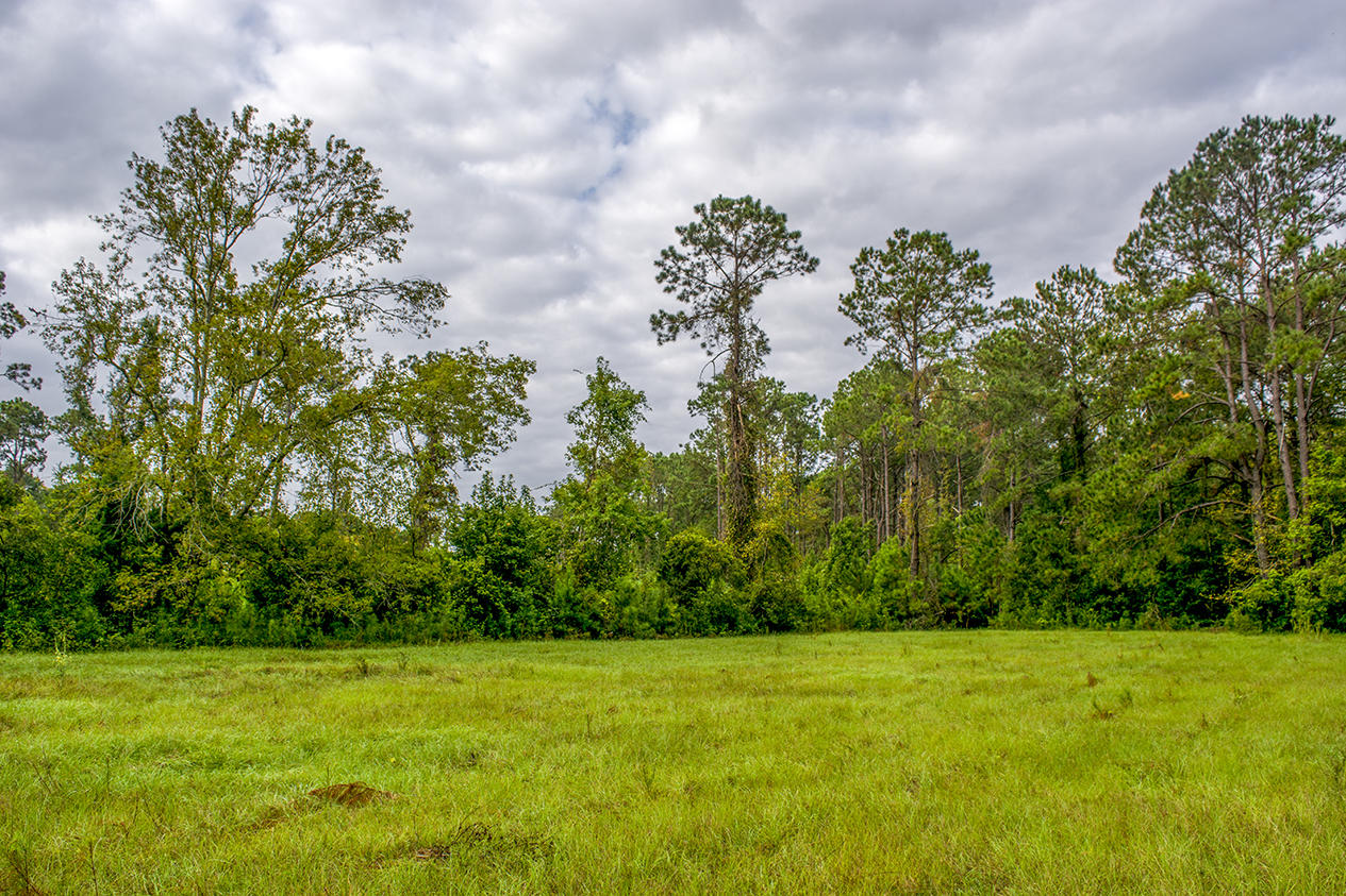 8477 Chisolm Plantation Road Edisto Island, SC 29438 - Photo 1 of 11 _DSC8363