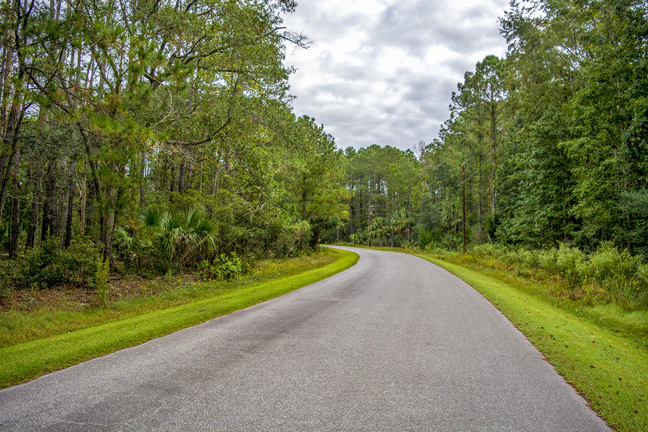 8477 Chisolm Plantation Road Edisto Island, SC 29438 - Photo 2 of 11 _DSC8367