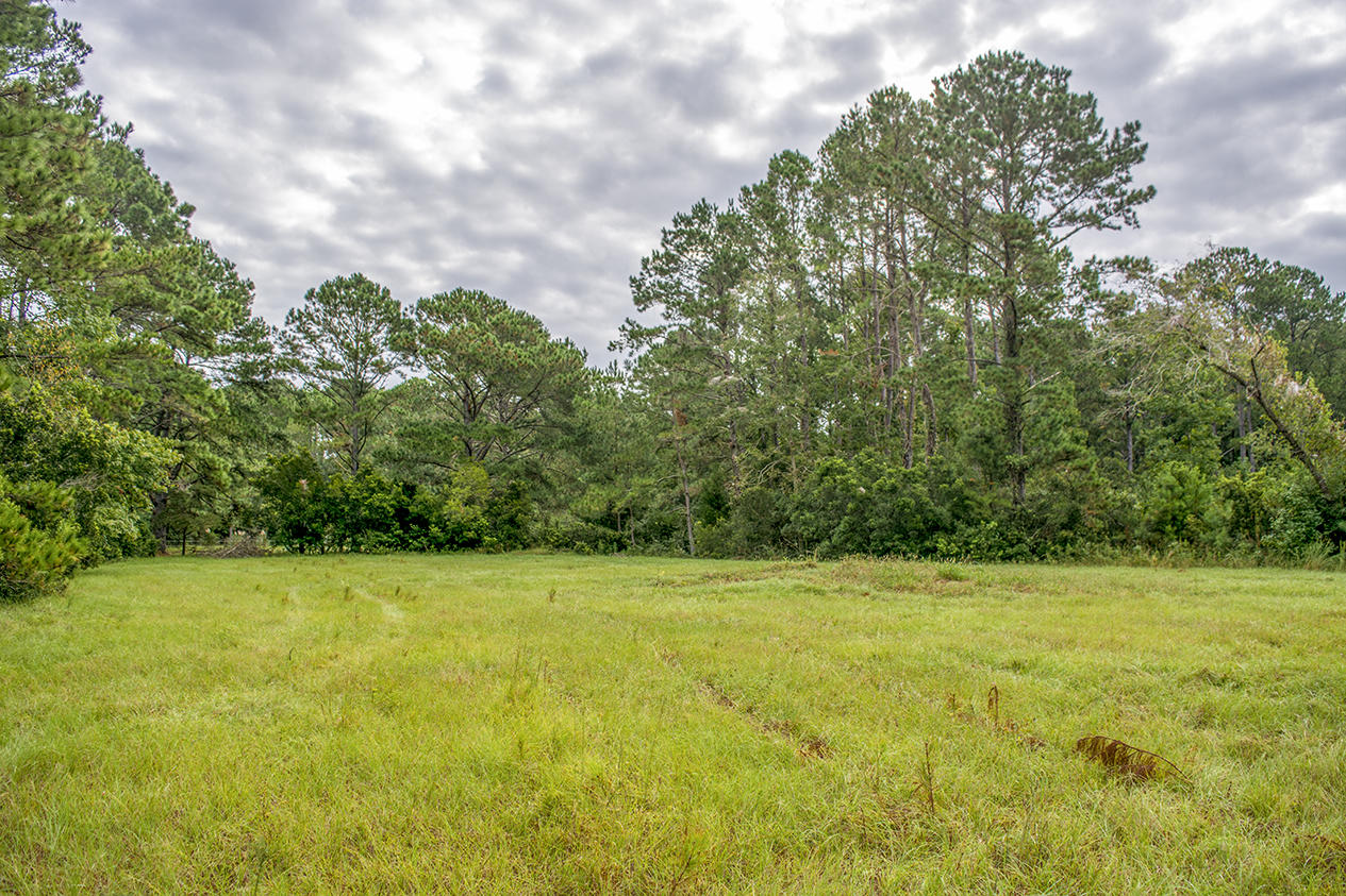 8477 Chisolm Plantation Road Edisto Island, SC 29438 - Photo 3 of 11 _DSC8361