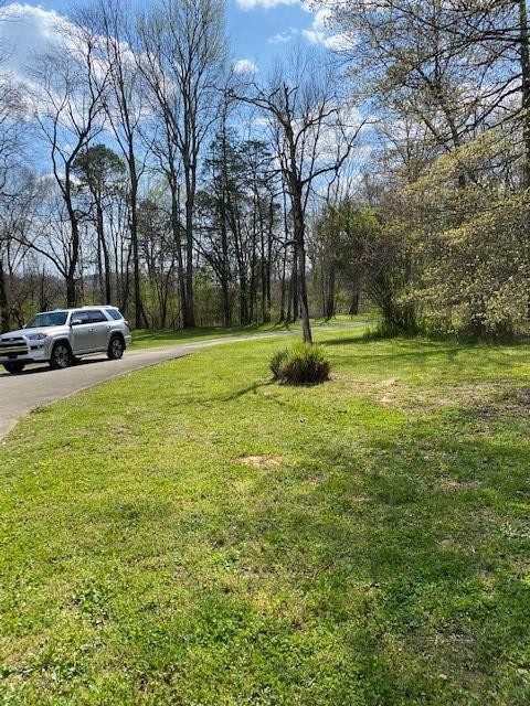 205 County Road 59 Riceville, TN 37370 - Photo 18 of 55 Gallery Image 18