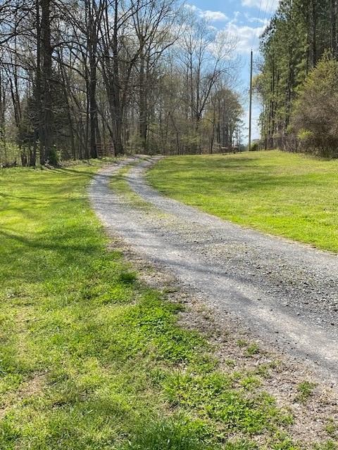205 County Road 59 Riceville, TN 37370 - Photo 19 of 55 Gallery Image 19