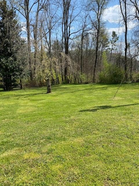 205 County Road 59 Riceville, TN 37370 - Photo 20 of 55 Gallery Image 20