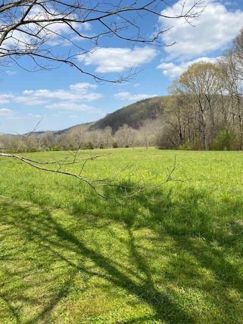 205 County Road 59 Riceville, TN 37370 - Photo 21 of 55 Gallery Image 21