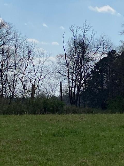 205 County Road 59 Riceville, TN 37370 - Photo 28 of 55 Gallery Image 28