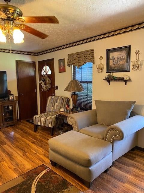 205 County Road 59 Riceville, TN 37370 - Photo 30 of 55 Gallery Image 30