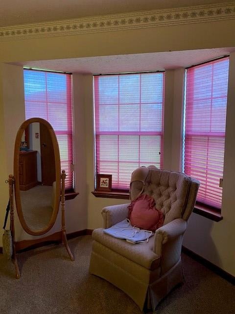 205 County Road 59 Riceville, TN 37370 - Photo 47 of 55 Gallery Image 47