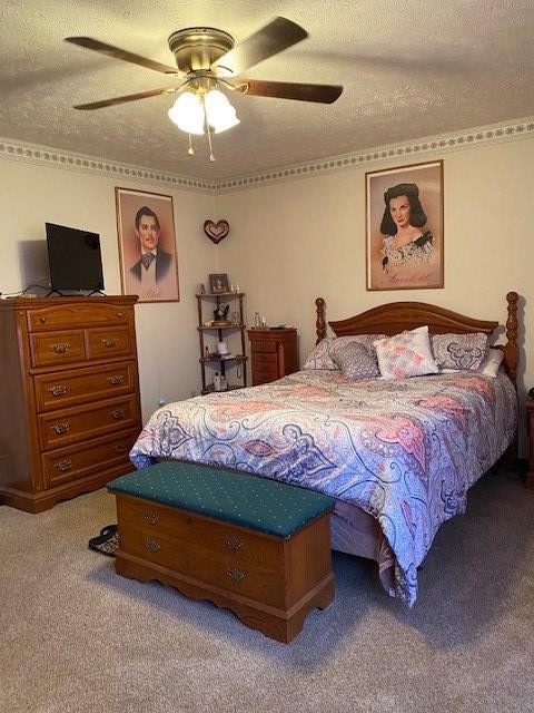 205 County Road 59 Riceville, TN 37370 - Photo 48 of 55 Gallery Image 48