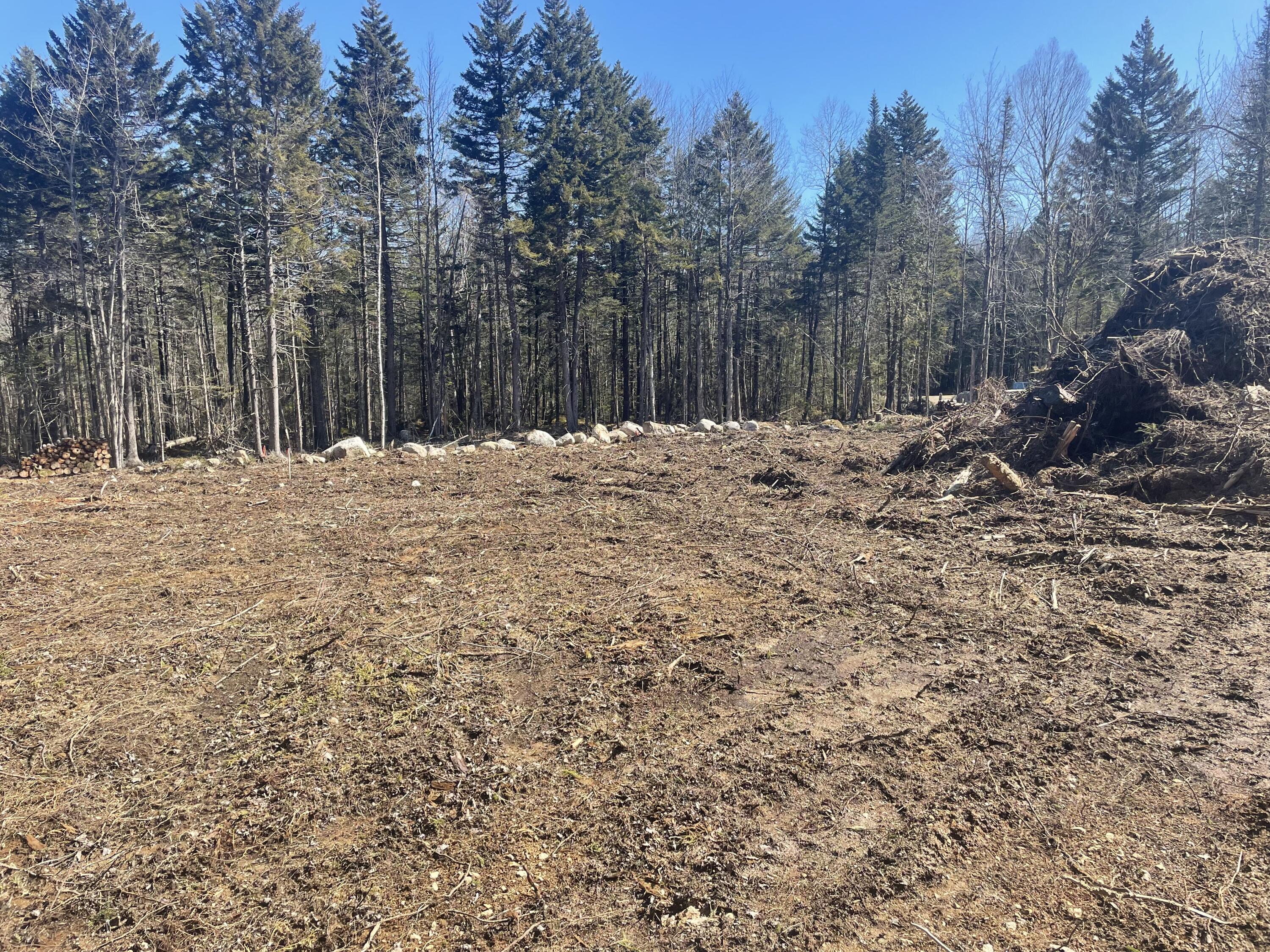 Map19-lot60 High Point Drive Penobscot, ME 04476 - Photo 6 of 15 image00006