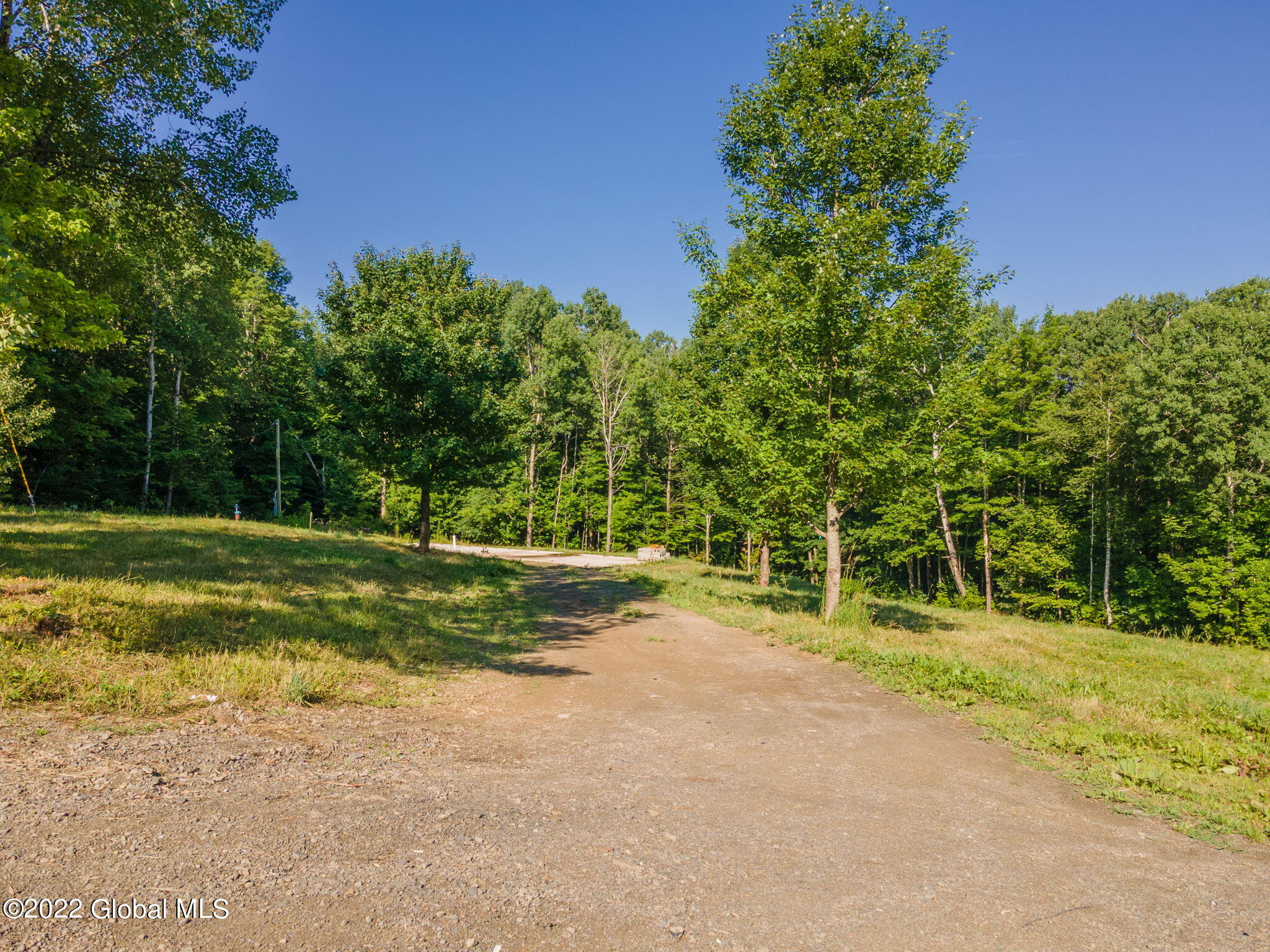 263 Mereness Road Worcester, NY 12197 - Photo 1 of 15 263 Ivan Mereness Rd