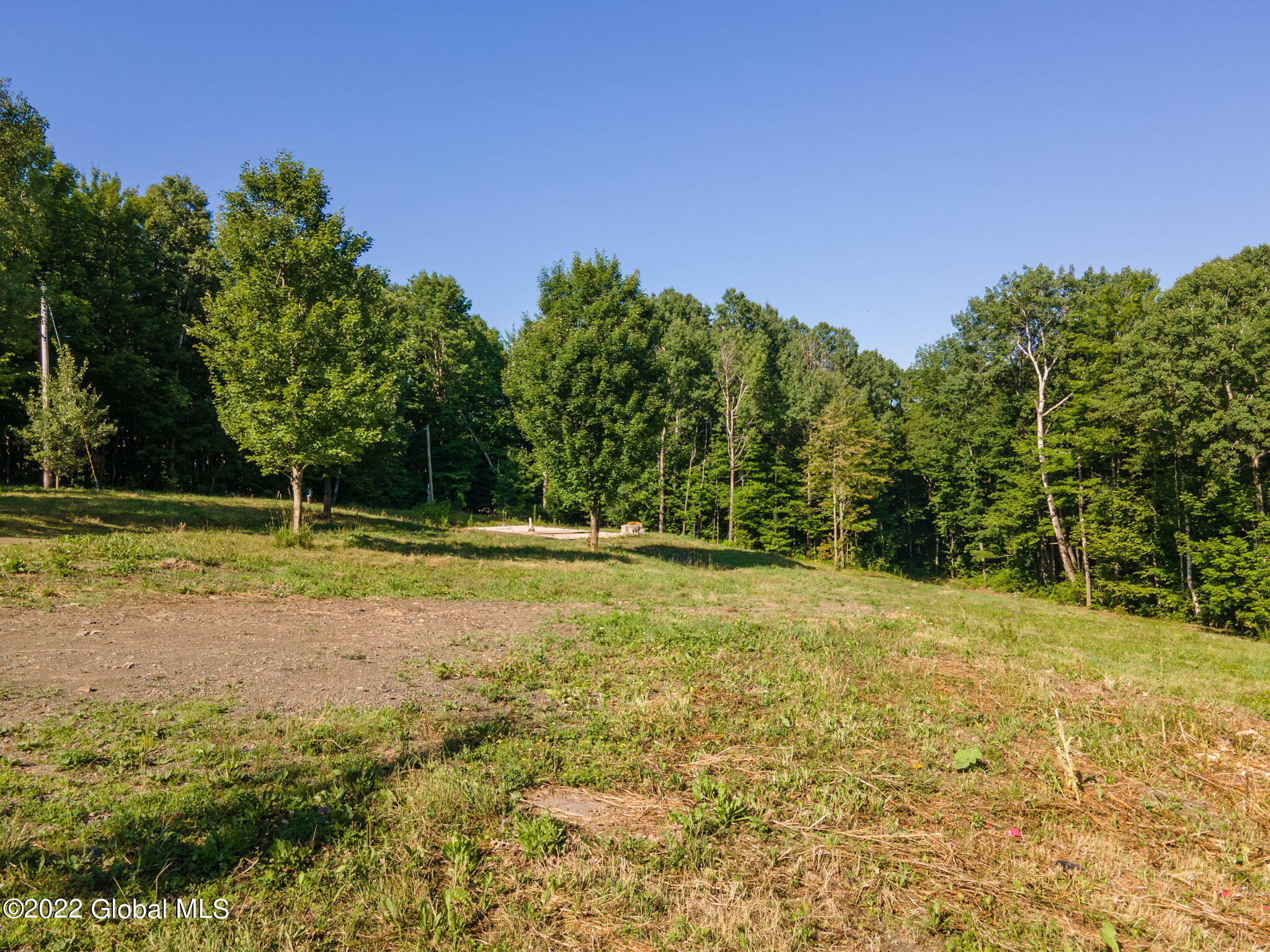 263 Mereness Road Worcester, NY 12197 - Photo 3 of 15 3-web-or-mls-263Mereness-3